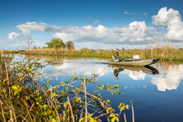 Foto 1 Een exotenbestrijder van Wetterskip Fryslân speurt vanuit de boot naar muskusratten - Fotograaf Daniël Hartog.jpg