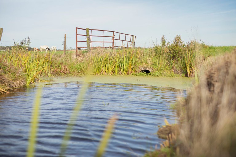 Gaswinning veld Harkema UMOG.jpg
