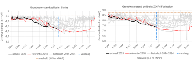 Grafieken grondwaterstande Fryslân peilbuis Skrins en Fochteloo - droogte-update  23072025