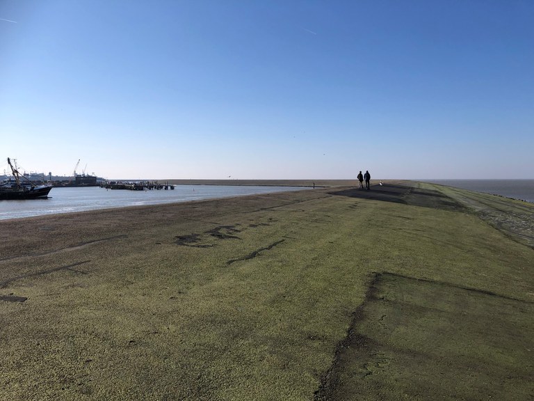 Noorderpier Harlingen (002).jpg