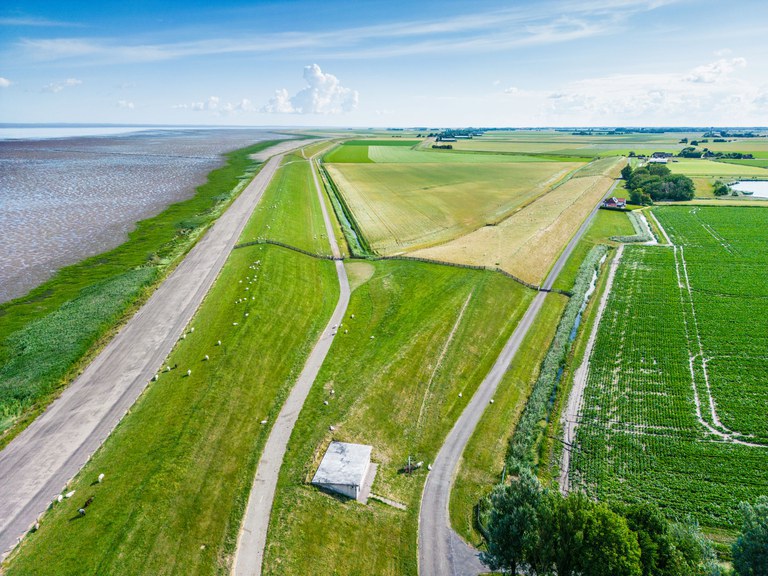 Zeedijk bij Koehool Foto Daniël Hartog .jpg