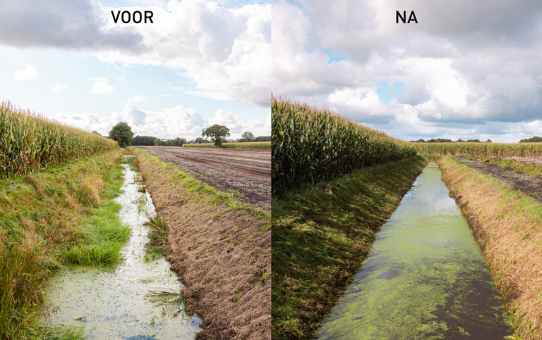 Schouw sloot voor en na