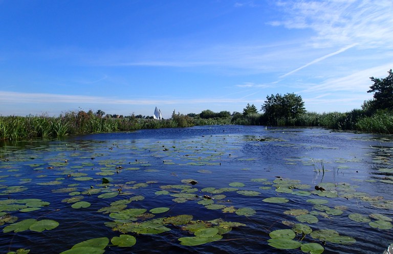 Modderige bol2055_luwe_2020_oost (3) bijgesneden.jpg