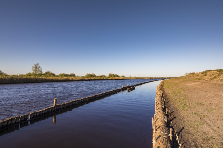 Voorbeeld natuurvriendelijke oever.jpeg