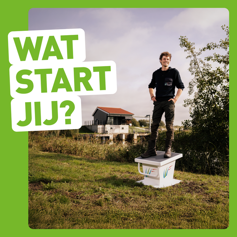 wat start jij vierkant groen - man